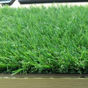 Cỏ nhân tạo sân vườn PTN-LG20
