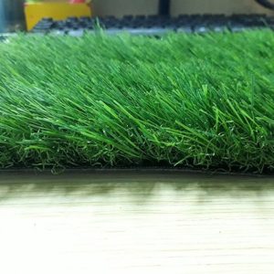 Cỏ nhân tạo sân vườn PTN-LG40