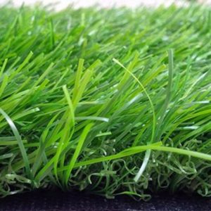 Cỏ nhân tạo sân vườn PTN-LG40