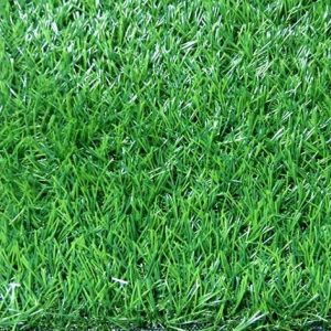 Cỏ nhân tạo PTN-LU3012