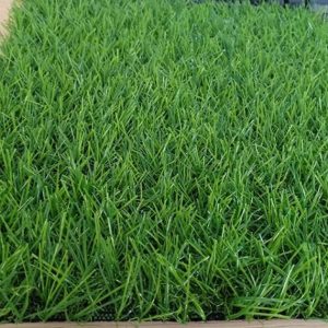 Cỏ nhân tạo PTN-LU3012