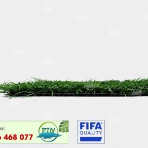 Cỏ nhân tạo PTN-M12