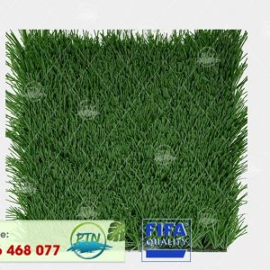 Cỏ nhân tạo PTN-M12