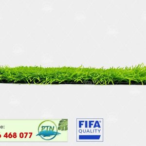 Cỏ nhân tạo PTN-M18