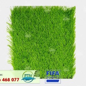 Cỏ nhân tạo PTN-M18