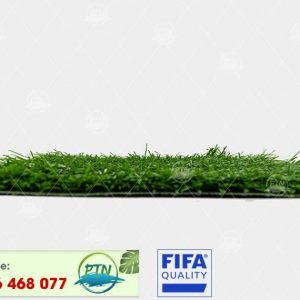 Cỏ nhân tạo PTN-M23