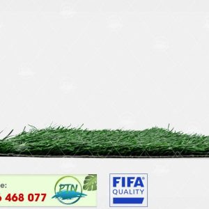 Cỏ nhân tạo PTN-M26