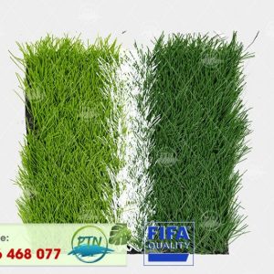 Cỏ nhân tạo PTN-M58 PRO