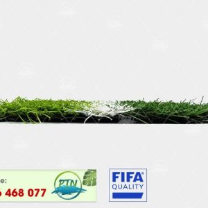 Cỏ nhân tạo PTN-M58 PRO