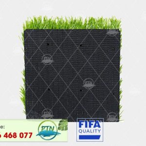 Cỏ nhân tạo PTN-M6