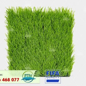 Cỏ nhân tạo PTN-M6