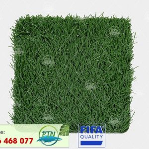 Cỏ nhân tạo PTN-M6 PRO