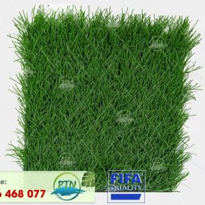 Cỏ nhân tạo PTN-M68 PRO