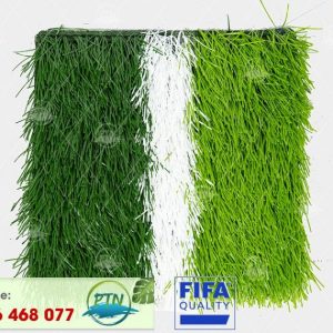 Cỏ nhân tạo PTN-M8