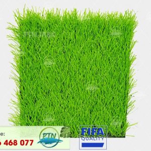 Cỏ nhân tạo PTN-M84