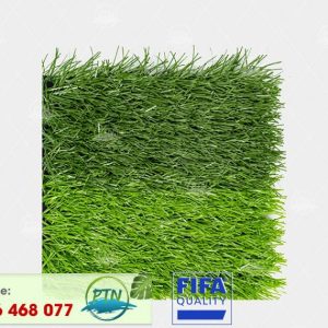 Cỏ nhân tạo PTN-MSX50