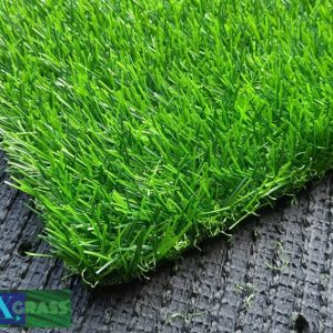 Cỏ nhân tạo PT-MI2019