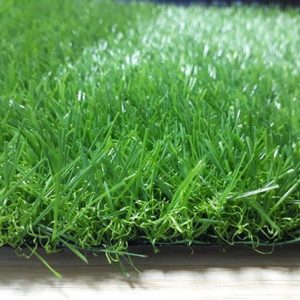 Cỏ nhân tạo sân vườn PTN-TG30