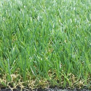 Cỏ nhân tạo sân vườn PTN-U30