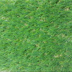 Cỏ nhân tạo sân vườn PTN-U30